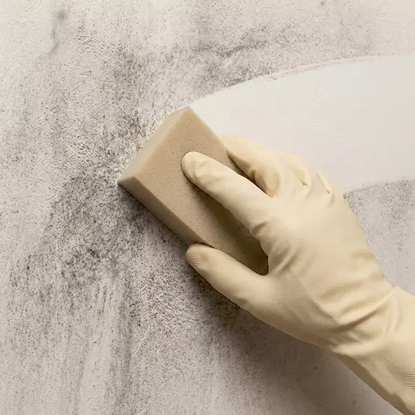 Smoke Cleaning in Weymouth, MA 