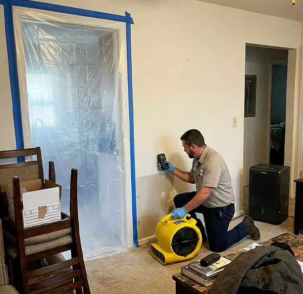 Why Homeowners & Businesses Choose Weymouth Water Damage for Water Remediation in Weymouth, MA?