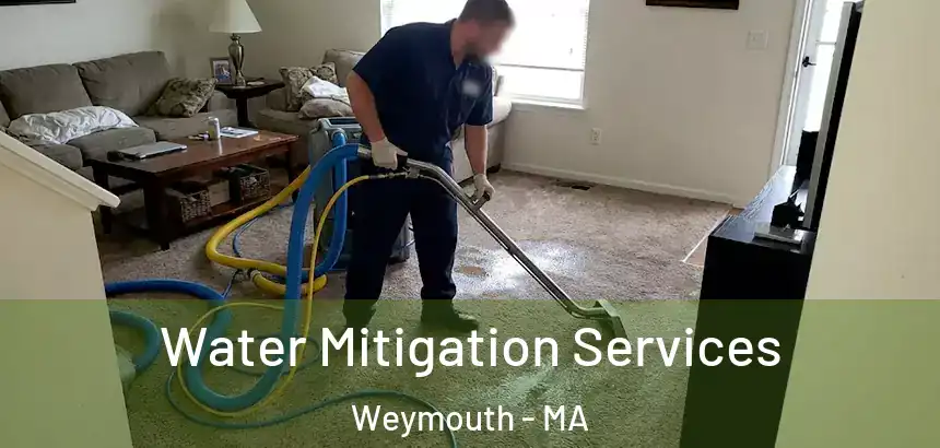  Water Mitigation Services Weymouth - MA